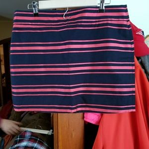 J Crew Skirt